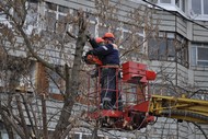 Снос и обрезка деревьев. Удаление пней 